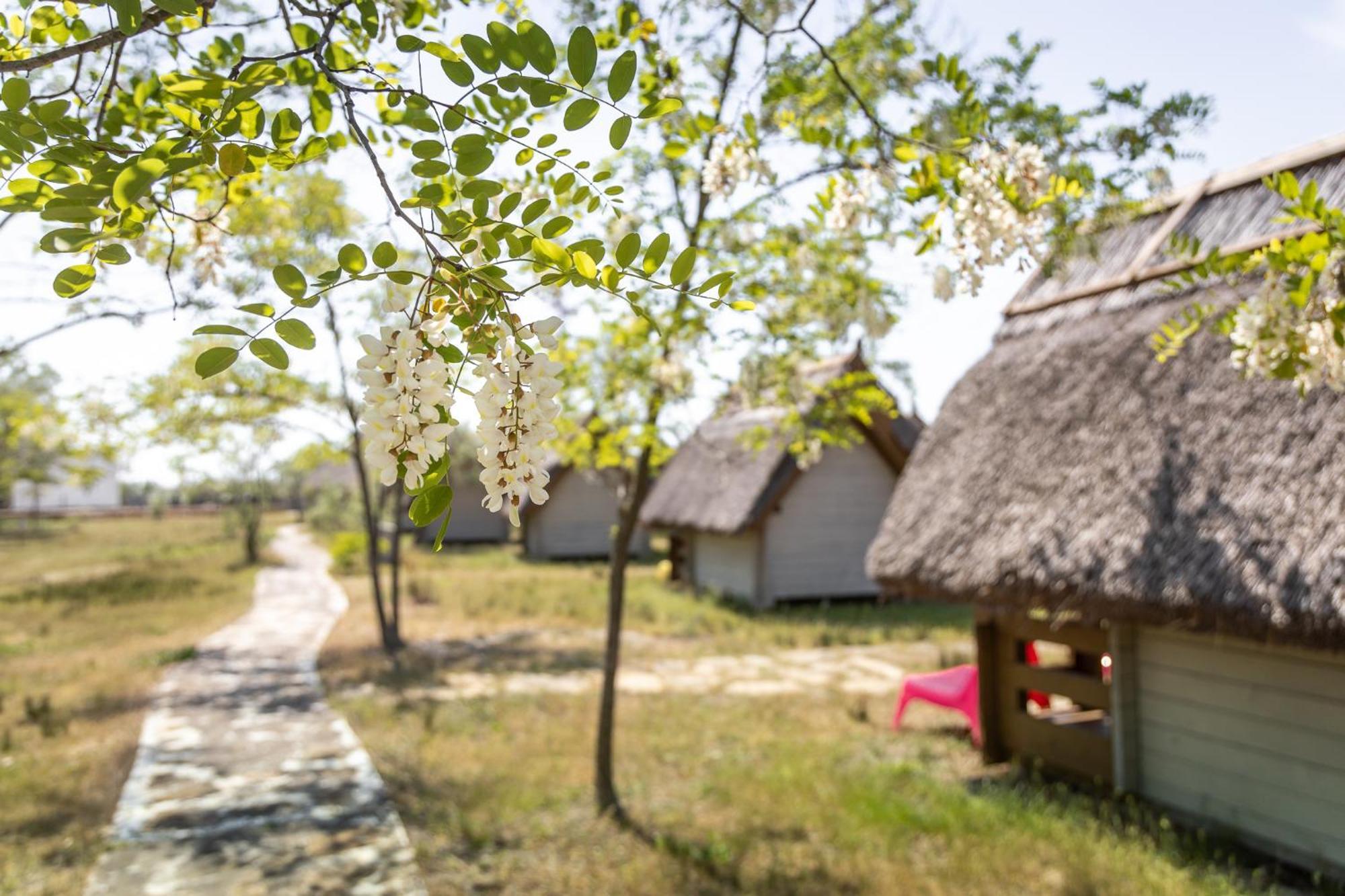 Dolphin Camping Sfântu Gheorghe Exteriér fotografie
